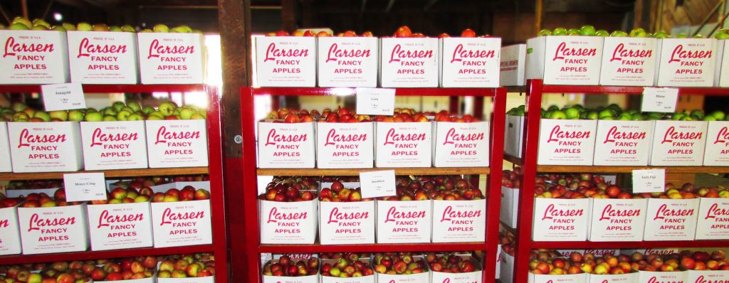 Apples & Fruit | Larsen Apple Barn